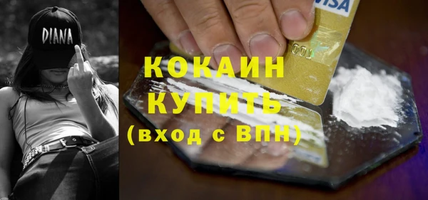 амф Вяземский