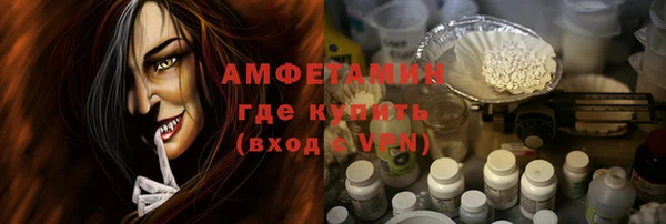 амф Вяземский