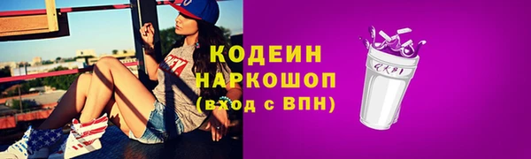 амф Вяземский