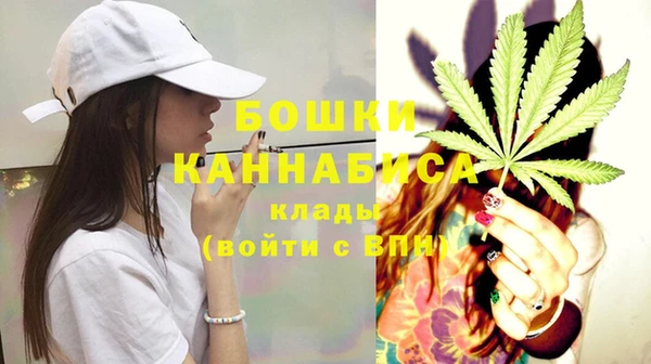 амф Вяземский