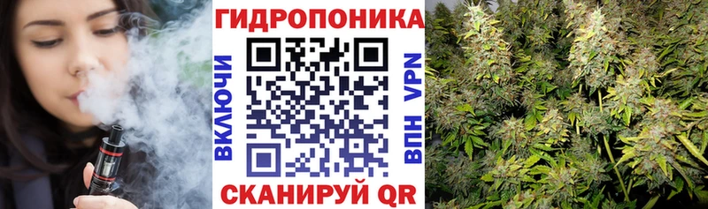 Конопля планчик  Шлиссельбург 